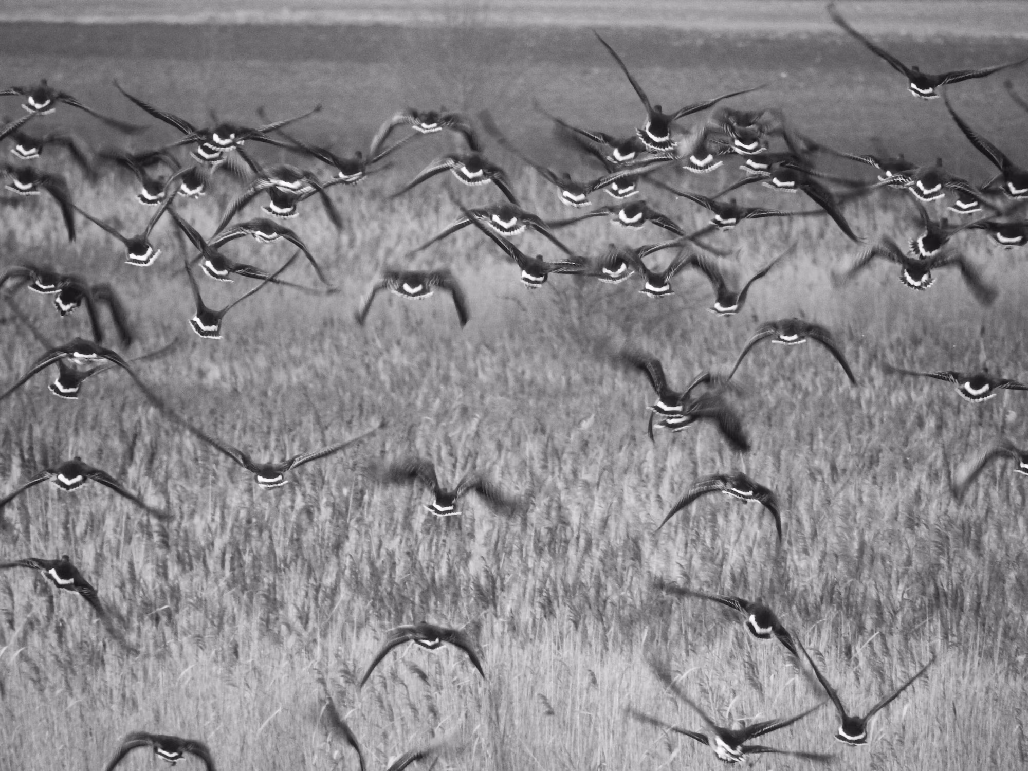 The Art of Mindful Living: Embracing the Present